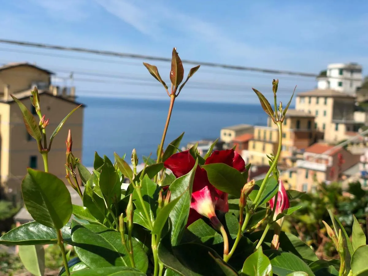 Guest house Cinque Terre Coast To Coast Hotel Riomaggiore